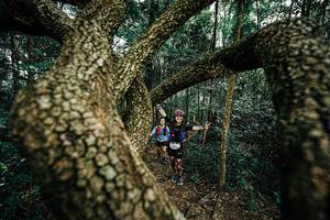 BIB: 
                            <button type="button" onclick="openModal(25393338)" class="btn btn-primary btn-sm float-right btn-popup" data-toggle="modal" data-target=".modal-high-quality">
                        <i class="fas fa-shopping-cart"></i> Add to Cart
                    </button>
                                            <button type="button" onclick="isThisMe(25393338, true)" class="btn btn-success btn-sm float-right btn-popup btn-isme hidden" data-toggle="tooltip" data-placement="bottom" title="นี่คือรูปของคุณใช่ไหม คลิกที่นี่เพื่อเอาเข้าอัลบั้ม">
                        <i class="fas fa-plus"></i> Add to album
                    </button>
                    <button type="button" onclick="isThisMe(25393338, false)" class="btn btn-warning btn-sm float-right btn-popup btn-isnotme hidden">
                        <i class="fas fa-ban"></i> Remove from album
                    </button>